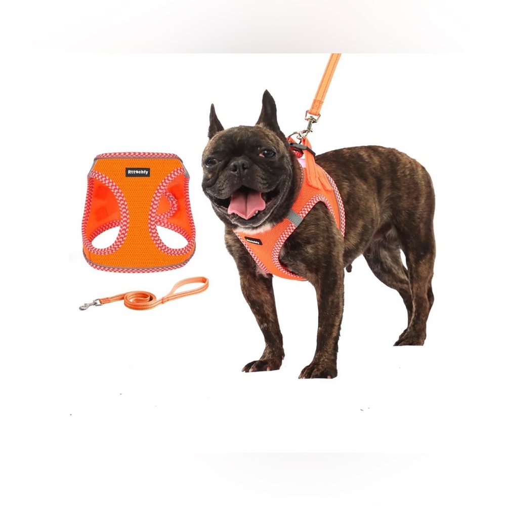 Orange Reflective Dog Harness & Leash Set